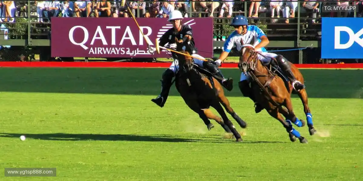 热血赛事,每一秒都值得尖叫!🔥